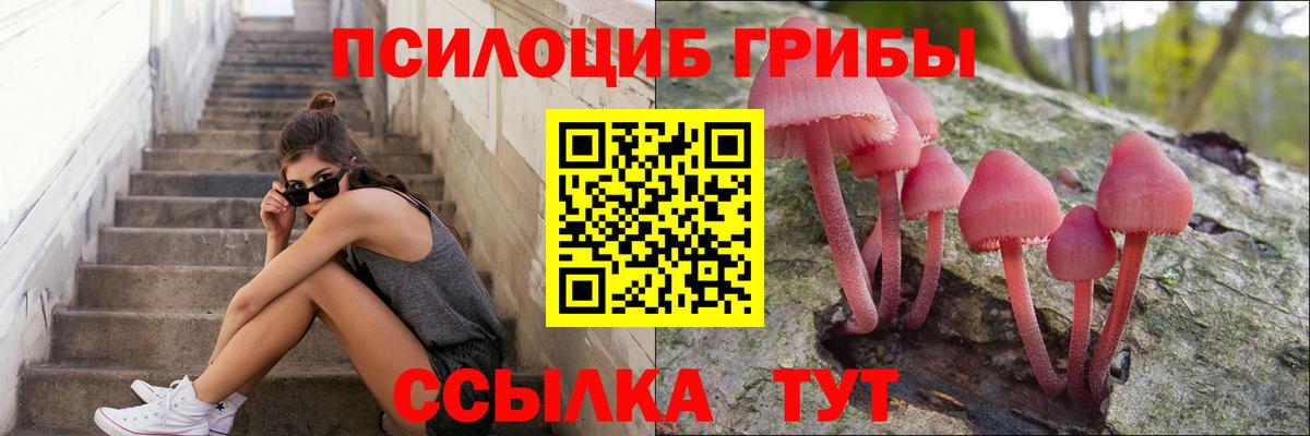Галлюциногенные грибы Psilocybe  Галлюциногенные грибы MAGIC MUSHROOMS  Вход с VPN  Алапаевск 
